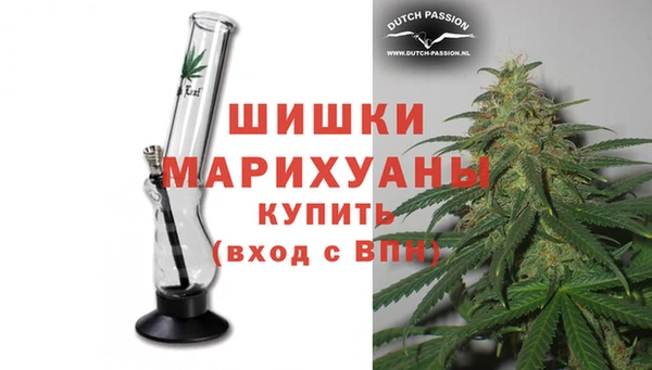 spice Богородск