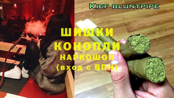 spice Богородск