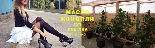 spice Богородск