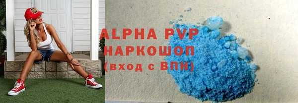 spice Богородск