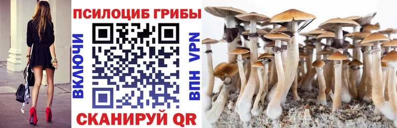 Галлюциногенные грибы Cubensis  где купить наркотик  Кировград 